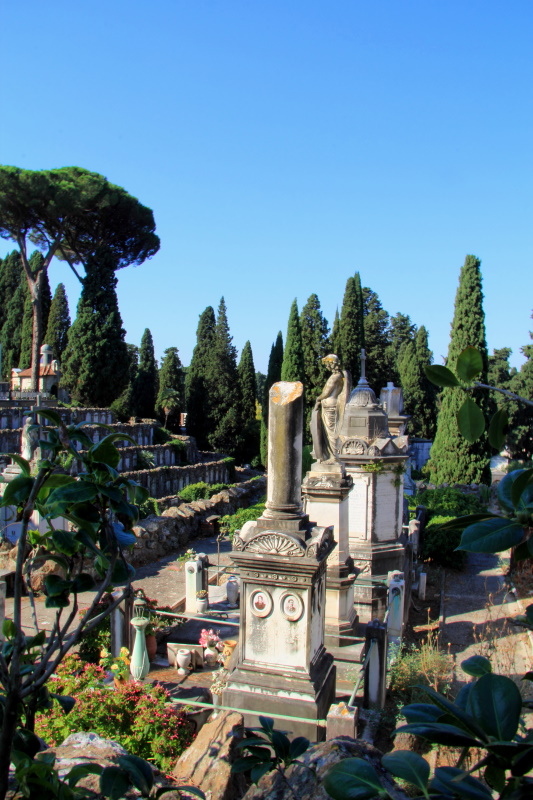 Scogliera del Monte Scogliera del Monte