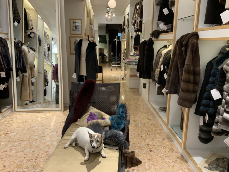 Bertoletti 1882 Bertoletti 1882