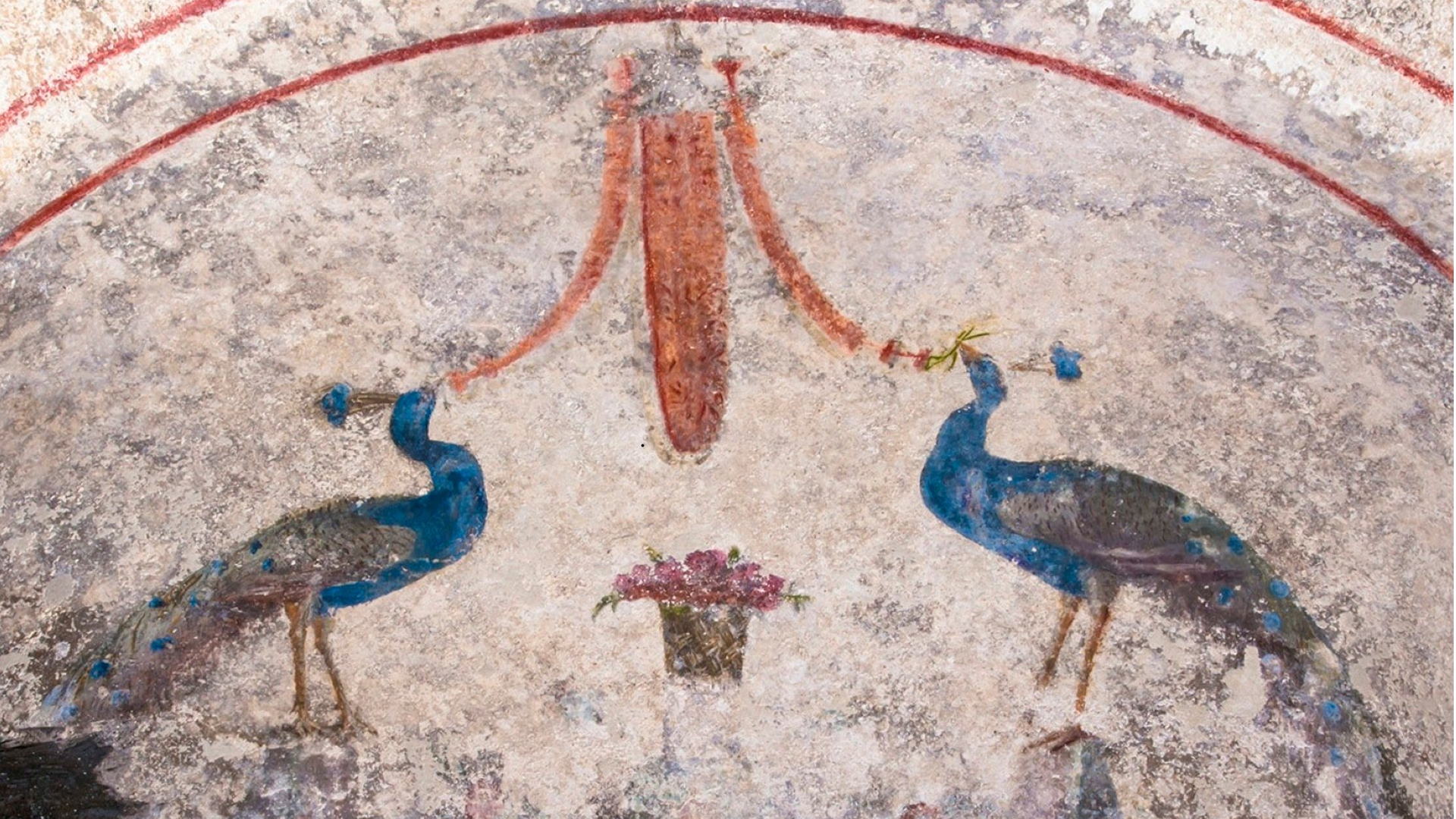 Foto Profilo Facebook Soprintendenza Speciale Roma Foto Profilo Facebook Soprintendenza Speciale Roma