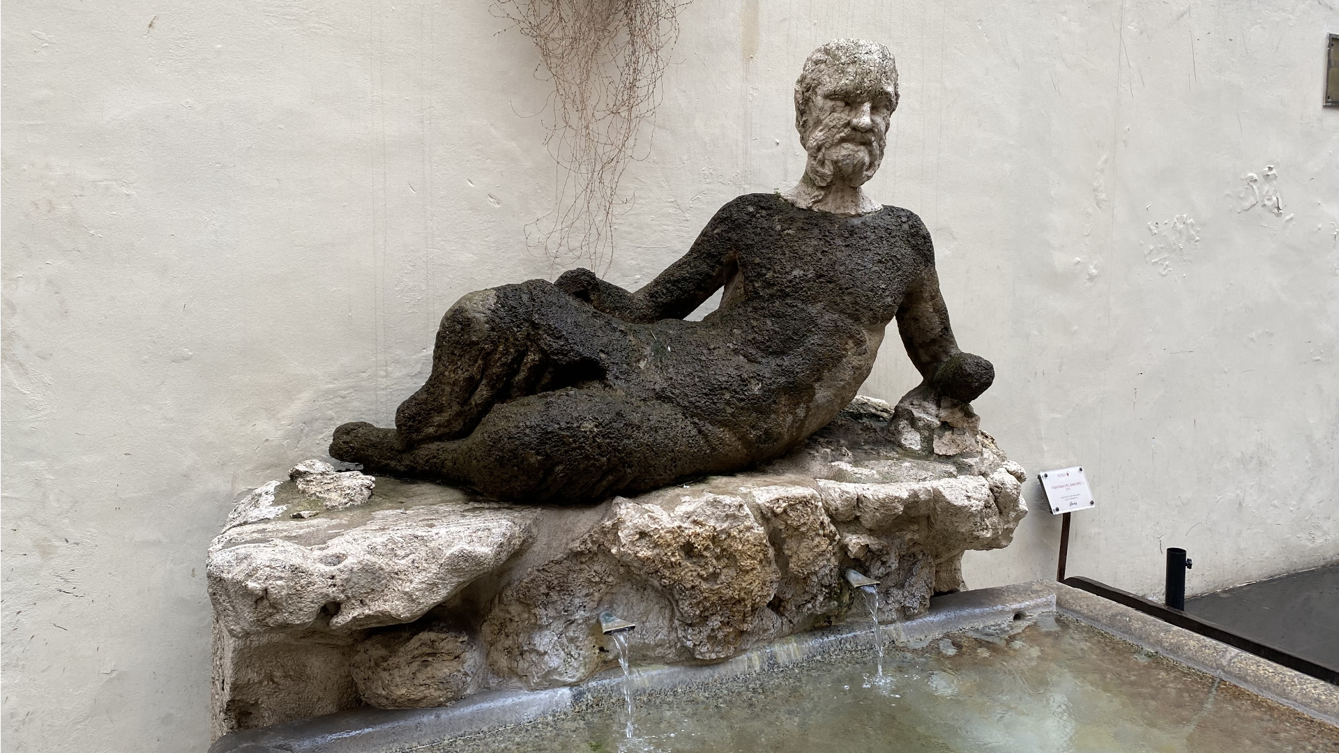 Il Babuino - Le statue parlanti Il Babuino - Le statue parlanti