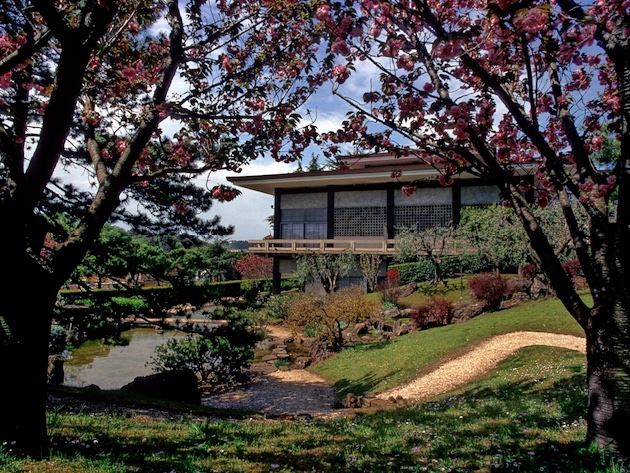 Istituto Giapponese di Cultura-Foto sito ufficiale Beni Culturali on line Istituto Giapponese di Cultura-Foto sito ufficiale Beni Culturali on line