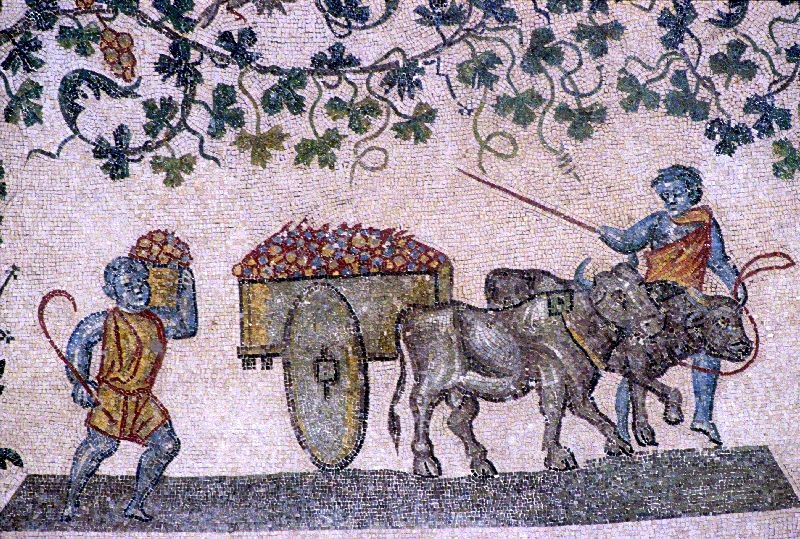 Mausoleo di Santa Costanza - Mosaici Mausoleo di Santa Costanza - Mosaici