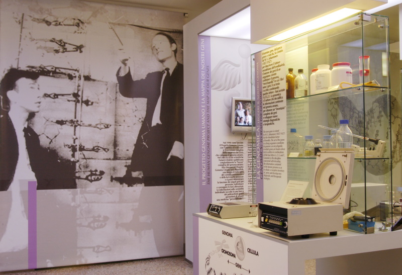 Medicina molecolare - Area museale Medicina molecolare - Area museale
