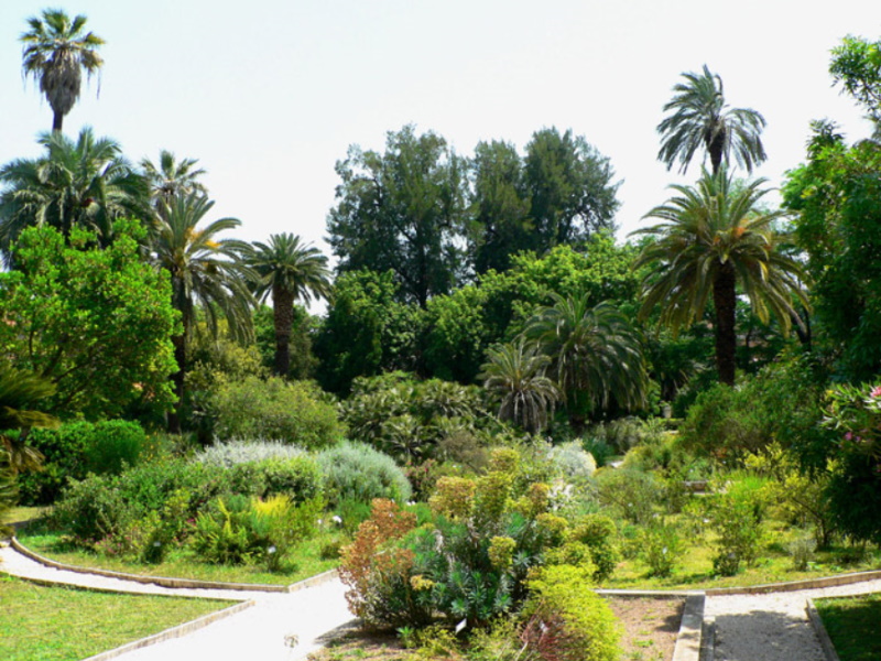 Orto Botanico di Roma - Giardino Mediterraneo Orto Botanico di Roma - Giardino Mediterraneo