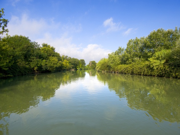 La bonifica La bonifica