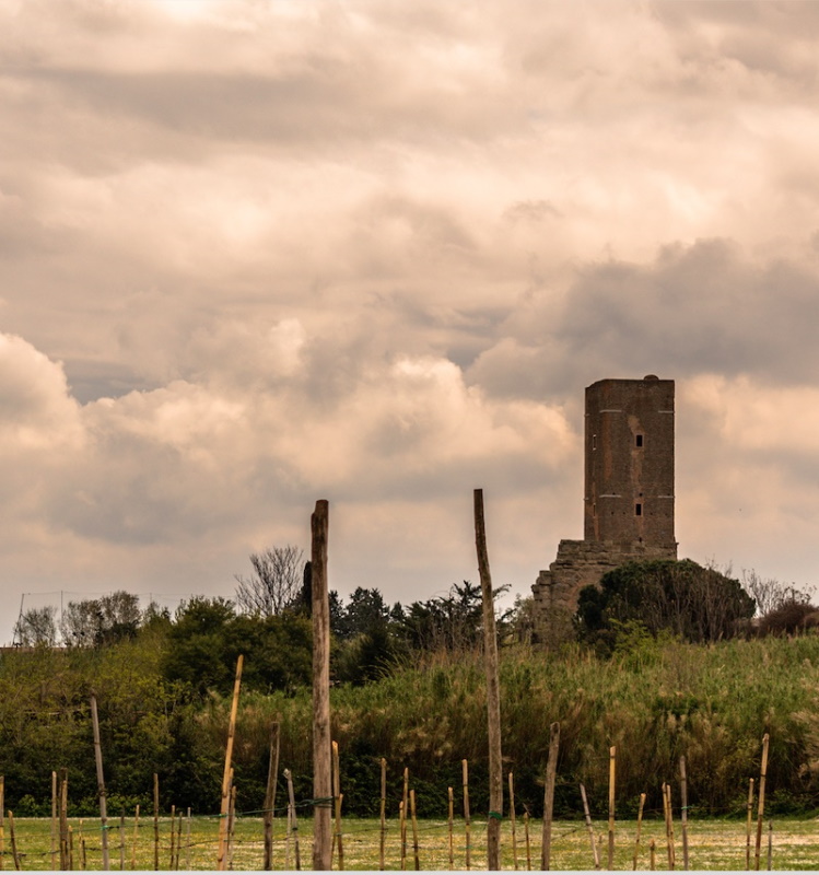 Parco Torre del Fiscale-Foto: sito ufficiale Parco Acheologico dell'Appia Antica Parco Torre del Fiscale-Foto: sito ufficiale Parco Acheologico dell'Appia Antica