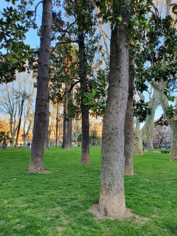 Piazza Vittorio Emanuele II Piazza Vittorio Emanuele II