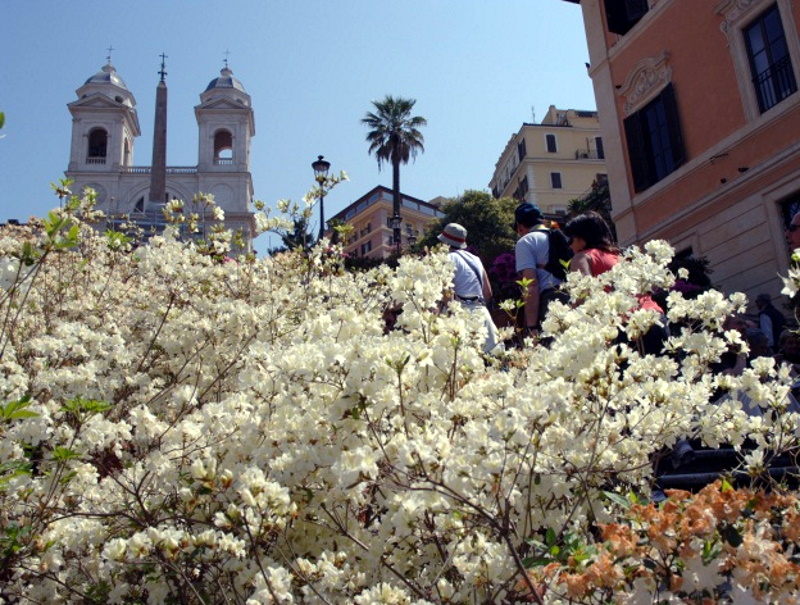 Scalinata di Trinità dei Monti Scalinata di Trinità dei Monti