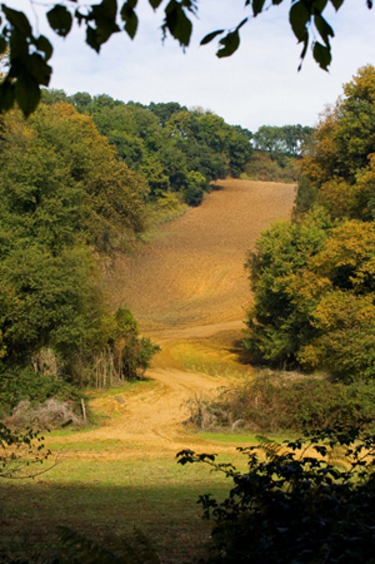 Riserva Naturale dell'Insugherata Riserva Naturale dell'Insugherata