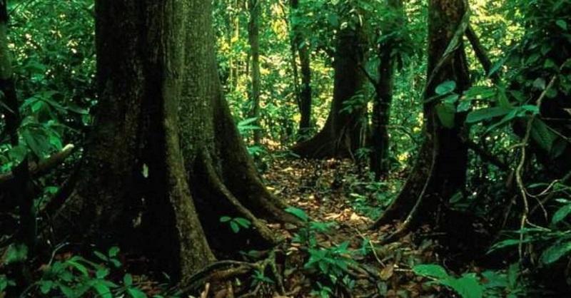 Riserva Naturale dell'Insugherata Riserva Naturale dell'Insugherata