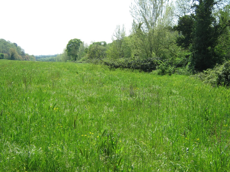 Riserva Naturale dell'Insugherata Riserva Naturale dell'Insugherata