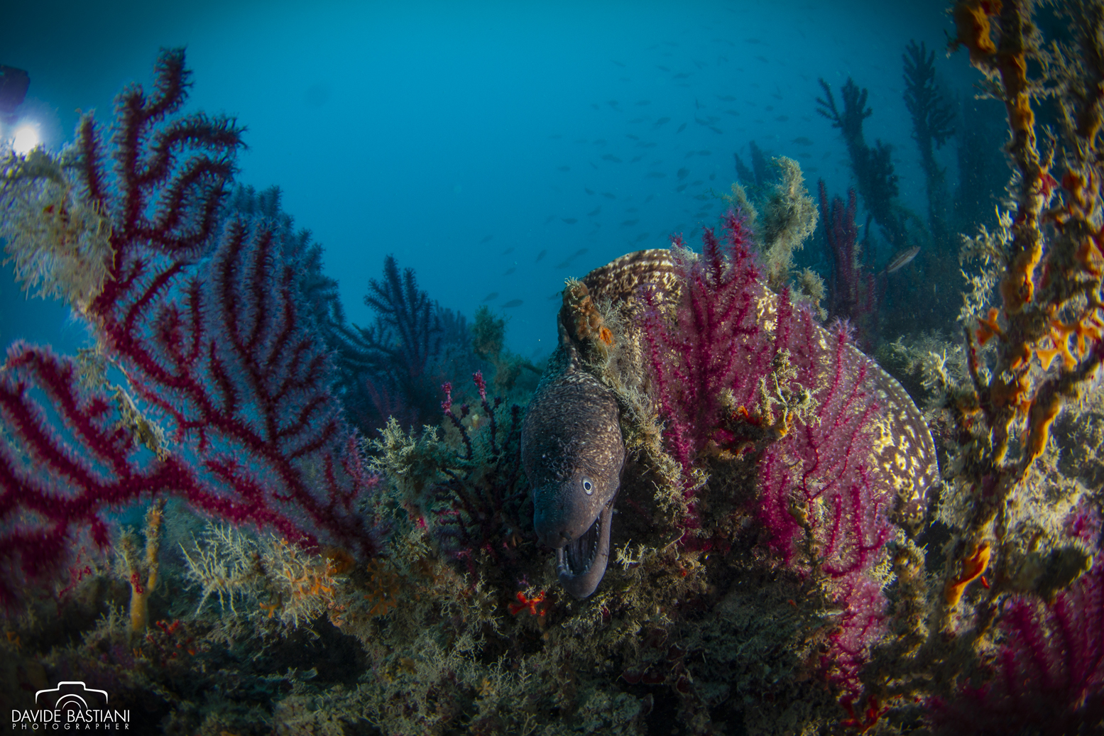 Secche di Tor Paterno Secche di Tor Paterno