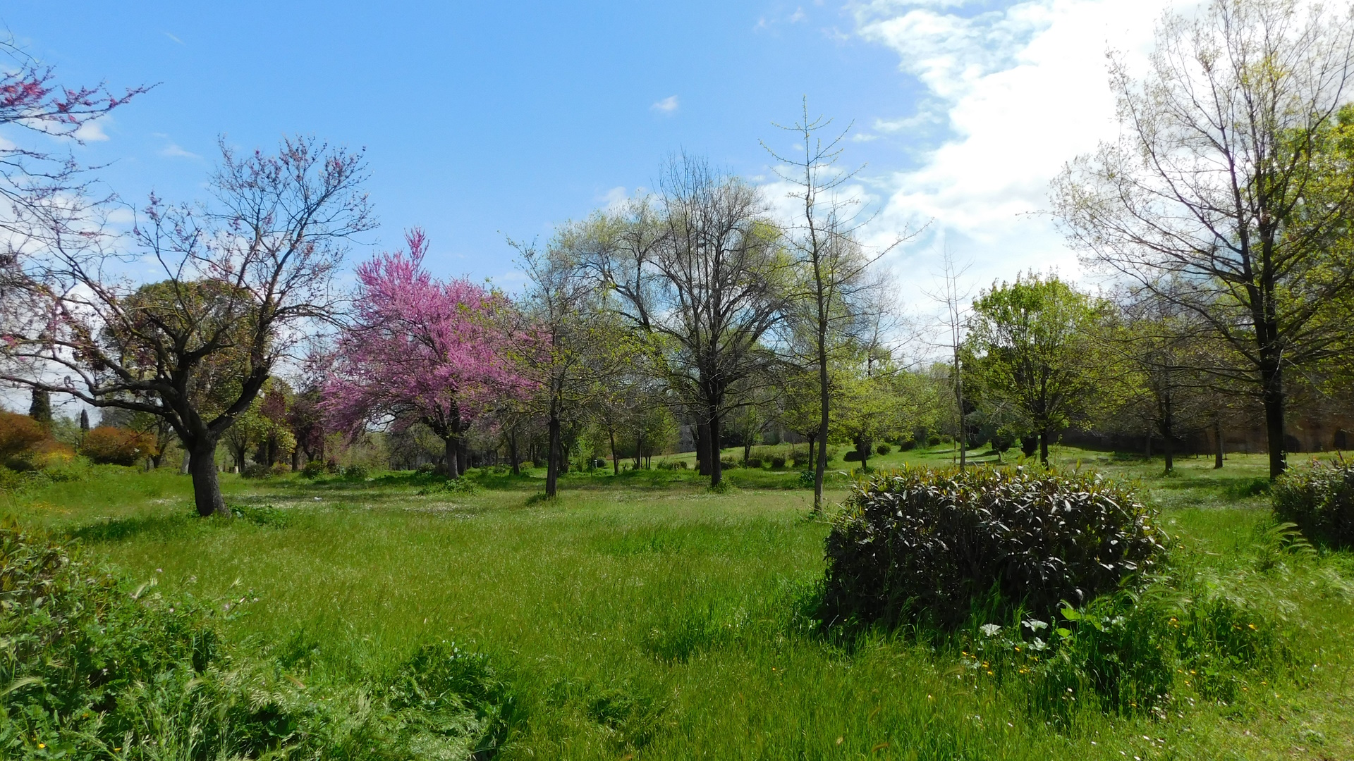 Villa dei Gordiani Villa dei Gordiani
