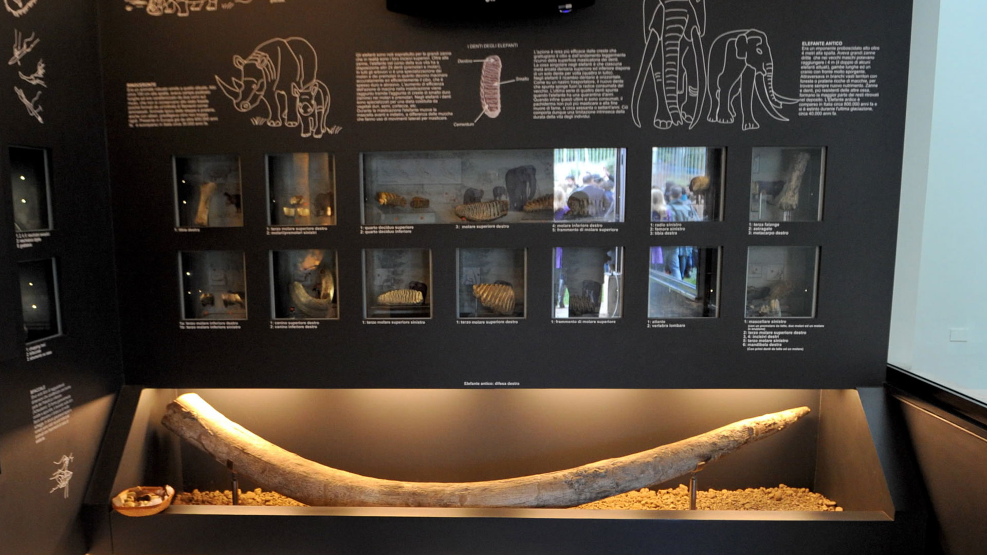 Museo di Casal de' Pazzi - interno Museo di Casal de' Pazzi - interno