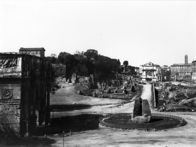 Meta sudans Meta sudans