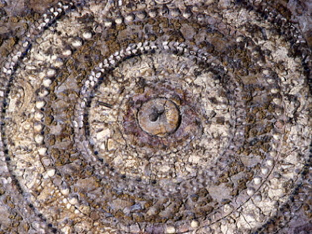 Foto sovraintendenzaroma.it Foto sovraintendenzaroma.it