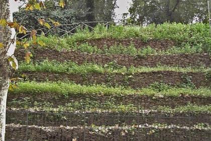 Monte dei Cocci Monte dei Cocci