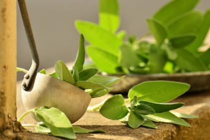 Le spezie e gli odori nella cucina romana Le spezie e gli odori nella cucina romana