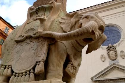 Elefantino - Piazza della Minerva Elefantino - Piazza della Minerva