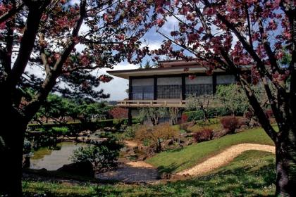 Istituto Giapponese di Cultura-Foto sito ufficiale Beni Culturali on line Istituto Giapponese di Cultura-Foto sito ufficiale Beni Culturali on line