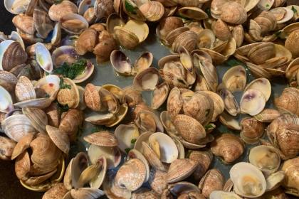 Sauté di Lupini Sauté di Lupini