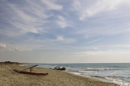 Tenuta Presidenziale di Castel Porziano Tenuta Presidenziale di Castel Porziano