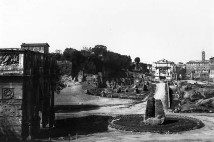 Meta sudans Meta sudans