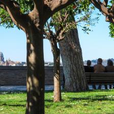 Parco Savello o Giardino degli Aranci Parco Savello o Giardino degli Aranci