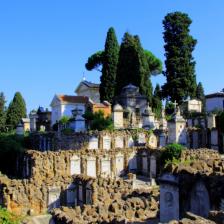 Scogliera del Monte Scogliera del Monte