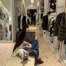 Bertoletti 1882 Bertoletti 1882