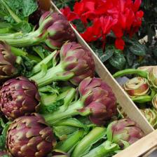 carciofi carciofi