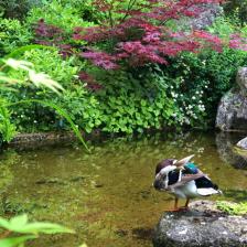 Laghetto Orto Botanico