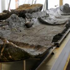 Museo delle Civiltà - Museo preistorico etnografico Luigi Pigorini