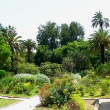 Orto Botanico di Roma - Giardino Mediterraneo Orto Botanico di Roma - Giardino Mediterraneo
