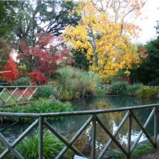 Orto Botanico di Roma - Laghetto Orto Botanico di Roma - Laghetto