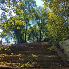 Particolare Monte dei Cocci Particolare Monte dei Cocci