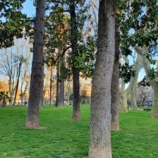 Piazza Vittorio Emanuele II Piazza Vittorio Emanuele II