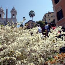 Scalinata di Trinità dei Monti Scalinata di Trinità dei Monti