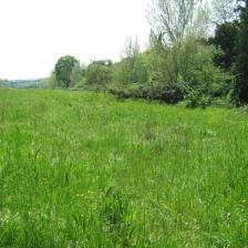 Riserva Naturale dell'Insugherata Riserva Naturale dell'Insugherata