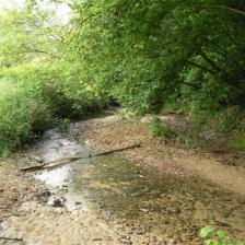 Riserva Naturale dell'Insugherata Riserva Naturale dell'Insugherata