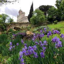 Vista Gianicolo da Orto Botanico