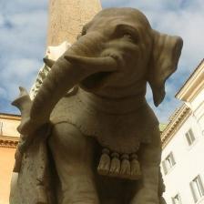 Pulcino della Minerva - Foto sovrintendenza capitolina Pulcino della Minerva - Foto sovrintendenza capitolina