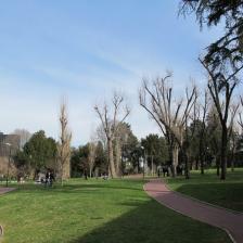 Parco Centrale del Lago