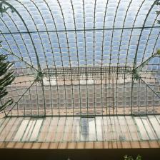 Orto botanico - Foto Turismoroma L. Dal Pont Orto botanico - Foto Turismoroma L. Dal Pont