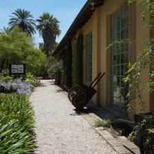 Orto botanico - Foto Turismoroma L. Dal Pont Orto botanico - Foto Turismoroma L. Dal Pont