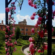 Aventino, Roseto Comunale - Foto Turismoroma L. Dal Pont Aventino, Roseto Comunale - Foto Turismoroma L. Dal Pont