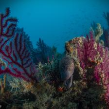 Secche di Tor Paterno Secche di Tor Paterno