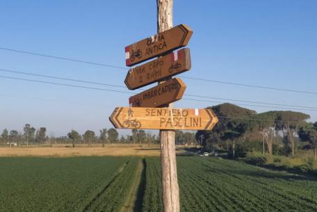 Ostia antica: archeologia, outdoor e meraviglia alla Porta di Roma Ostia antica: archeologia, outdoor e meraviglia alla Porta di Roma