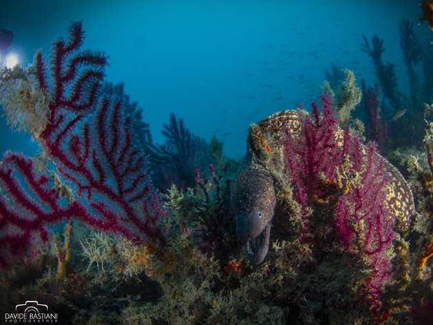 Secche di Tor Paterno Secche di Tor Paterno