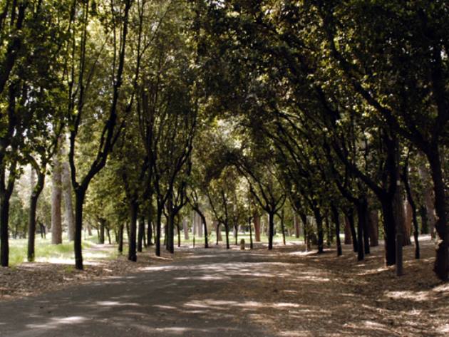 Villa Glori - viale del parco Villa Glori - viale del parco